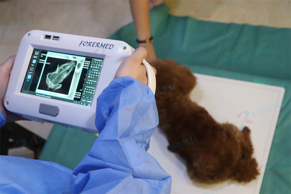 Mini Veteriner Röntgen Makines - Vet Tech Accessories incelemesi ve fiyatı