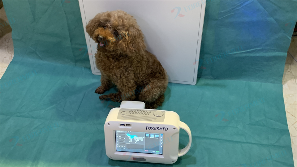 Mini Veteriner Röntgen Makines - Vet Tech Accessories incelemesi ve fiyatı